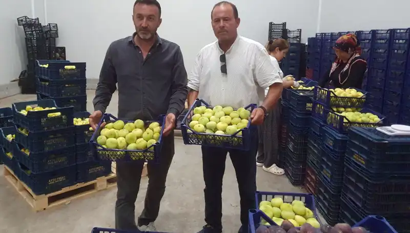 Mersinli Çiftçinin Yüzü Güldü: Ürün İhraç Ediliyor, Fiyatlar 20 TL!