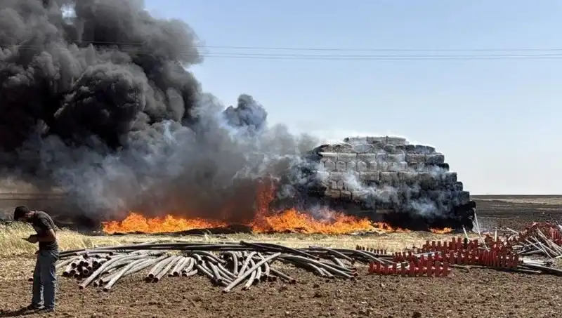 Mardin’de Anız Yangınları: Doğayı Tehdit Eden Kriz ve Mücadele Yöntemleri