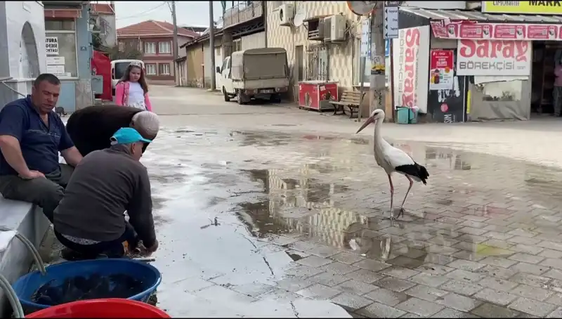 Yaren’den Sonra Bilal Leylek: Yusuf Amca'nın Elleriyle Sunulan Balık Lezzeti