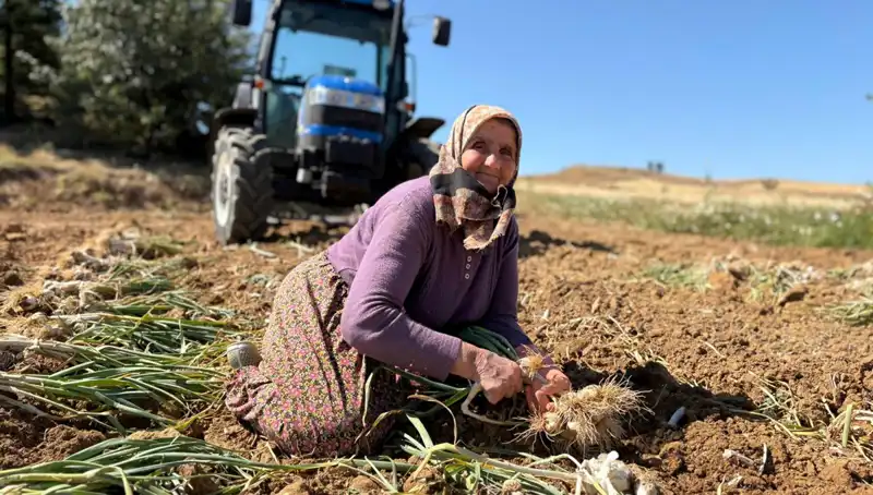 Dünyanın En Değerli Tarım Ürünü: Selenyumun Yükselen Yıldızı!