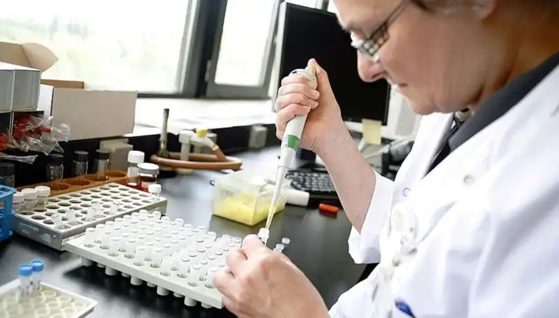 Antibiyotik Dirençli Bakteriler: Sağlık Tehlikesi ve Önemli Çözümler
