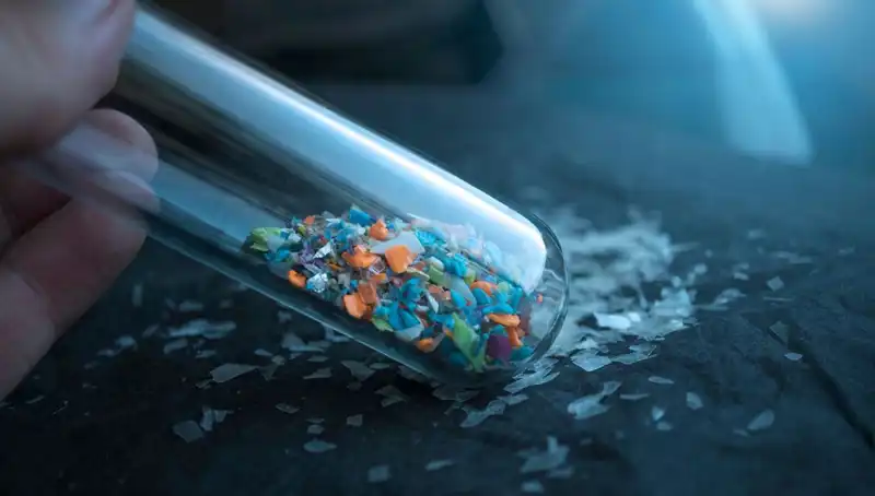 Mikroplastikler İnsan Beynini Tehdit Ediyor: Sağlığımıza Etkileri Neler?