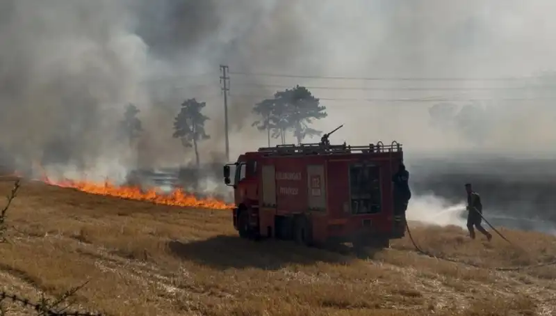 Kırklareli'nde Anız Yangını: Doğa ve Tarım Tehdit Altında