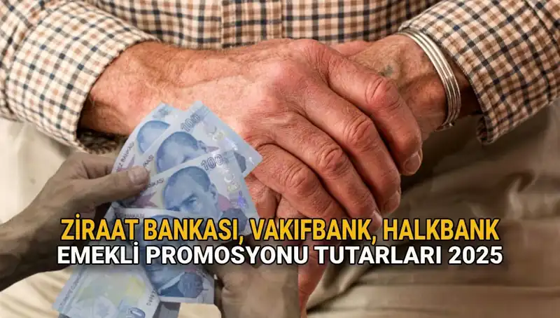 Emekliler İçin Müjdeli Haber: Kamu Bankaları 2025 Promosyonları Belli Oldu!