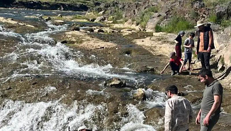 İnci Kefali Göçü: Doğanın Büyüleyici Gösterisine Tanıklık İçin Fırsat