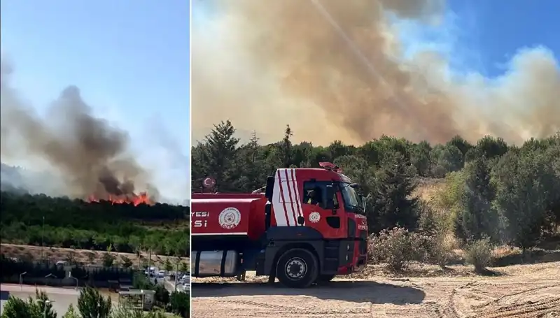 Gebze'de Korkutan Orman Yangını: Yangın Söndürme Çalışmaları Hızla Başladı