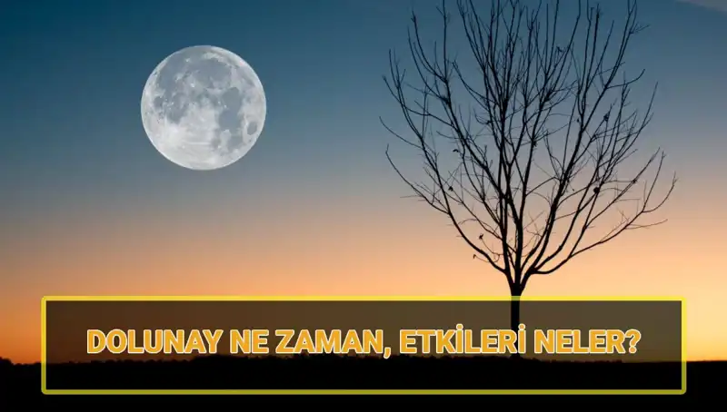 Dolunayın Gücü: Terazi Dolunayı Ne Zaman Başlayacak ve Neler Getirecek?