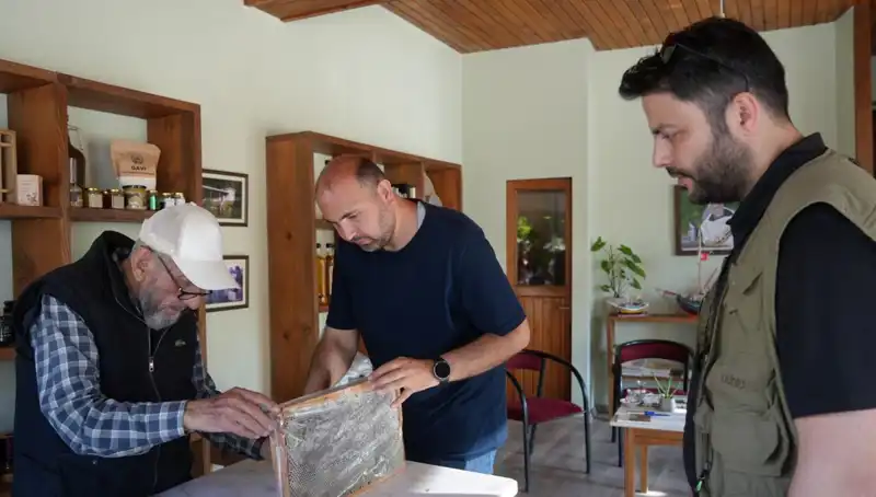 Şifa ve Zehir: Günlük 1 Çay Kaşığı Sınırı ile Tüketilmesi Gereken Doğal Mucize