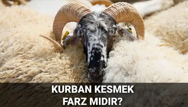 Kurban Kesimi Farz mı? Diyanet'in Görüşü ve Şartlar