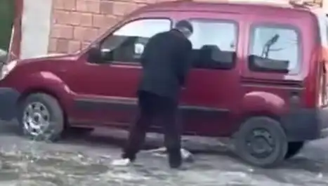Sokak Ortasında Köpeğe Uygulanan Şiddet Olayı: Ülke Genelinde Tepkiler Çığ Gibi Büyüyor