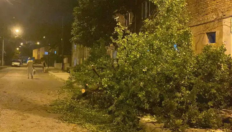 Karabük'te Şiddetli Fırtına: Hasar ve Etkileri Neler Olacak?