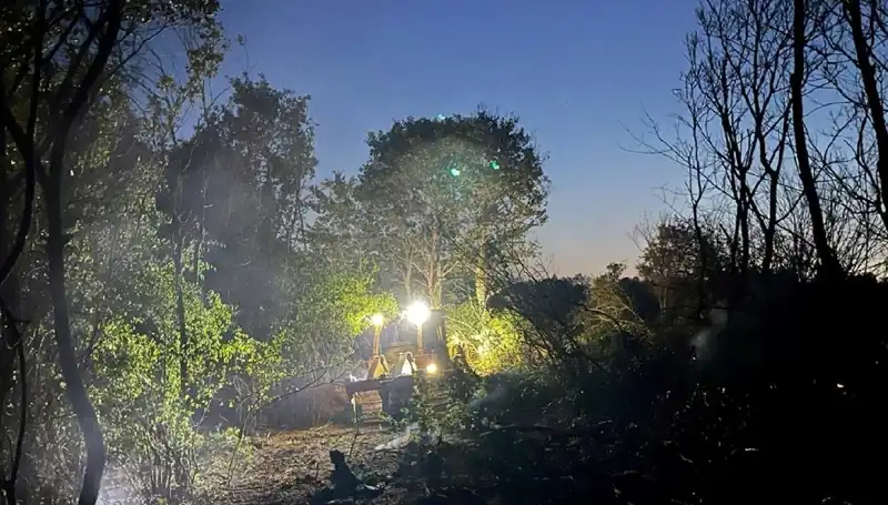 Edirne’de Beklenmedik Orman Yangını: Son Durum ve Alınan Önlemler