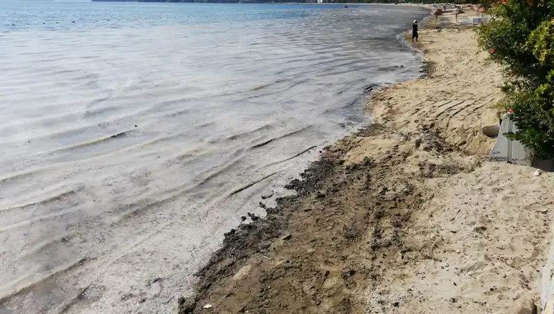 Müsilajla Mücadelede Çarpıcı Gelişme: 268 İşletme Faaliyete Son Verdi