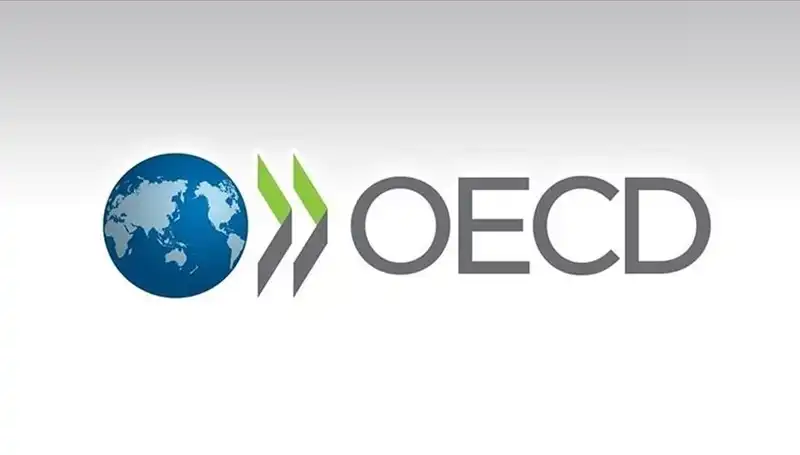 Türkiye'nin Ekonomik Geleceği: OECD Büyüme Tahmininde Çarpıcı Değişiklikler