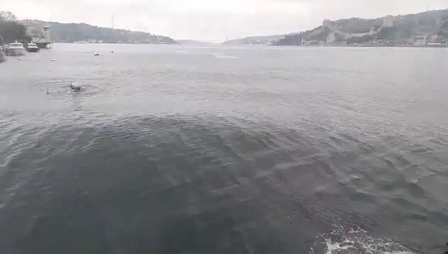 İstanbul Boğazı'nda Dalgalar Yükseliyor: Ne Oluyor?