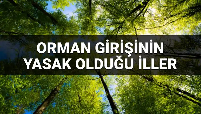 2025’te Ormana Girişi Yasaklanan İller: Koşullar ve Sebepler